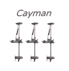 Silniki Elektryczne Haswing Cayman