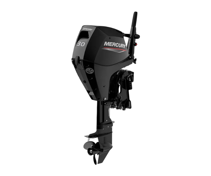 Silnik zaburtowy spalinowy Mercury F30 FourStroke ELHPT Amberjack